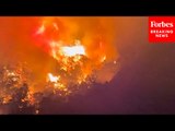 BREAKING NEWS: Active Forest Fire Caught On Camera In Santa Barbara County, California