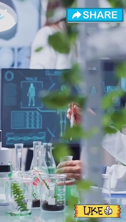 New elements synthesis