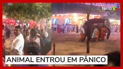 Elefante fica 'descontrolado' e deixa 13 feridos em festival hindu