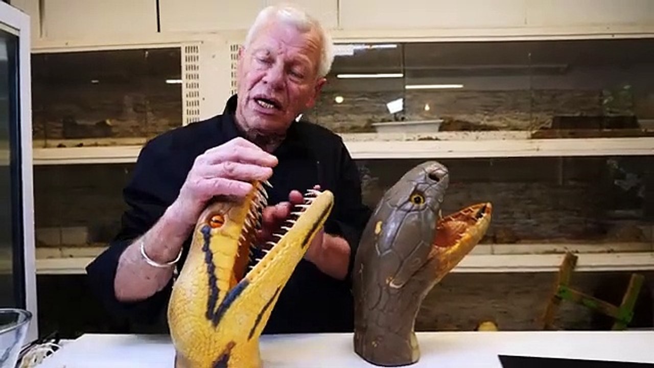 LES DENTS DES SERPENTS !