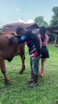 fun and fun #shorts #viralshorts #funnyshorts