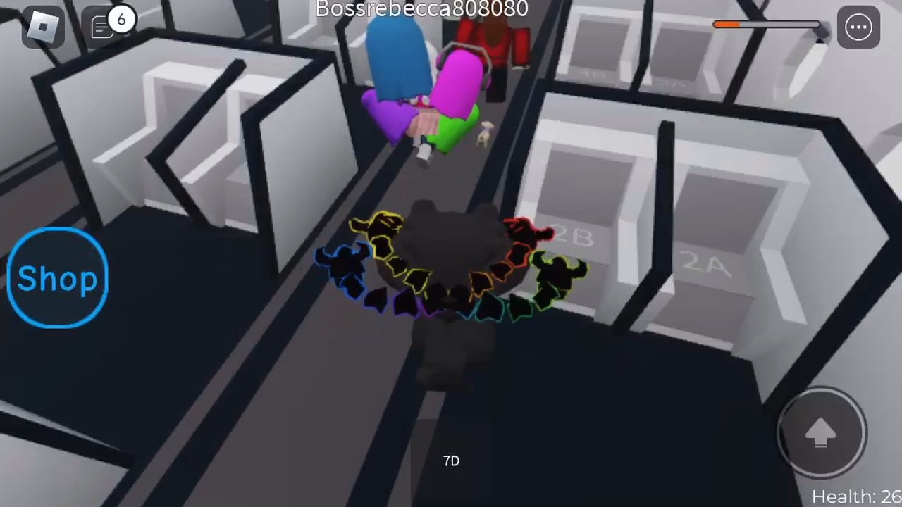 I played Roblox