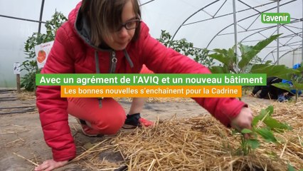 Avec un agrément de l’AVIQ et un nouveau bâtiment, les bonnes nouvelles s’enchaînent pour la Cadrine