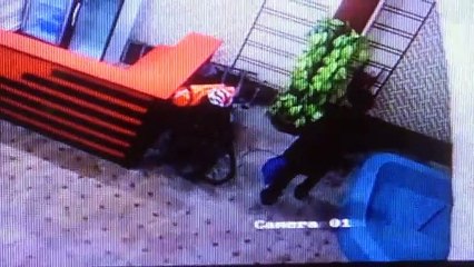 Verplant (2021) stream deutsch anschauen