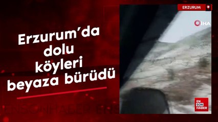 Erzurum’da dolu köyleri beyaza bürüdü