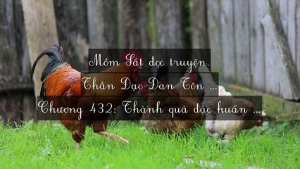 Chương 431-440: Thần Đạo Đan Tôn