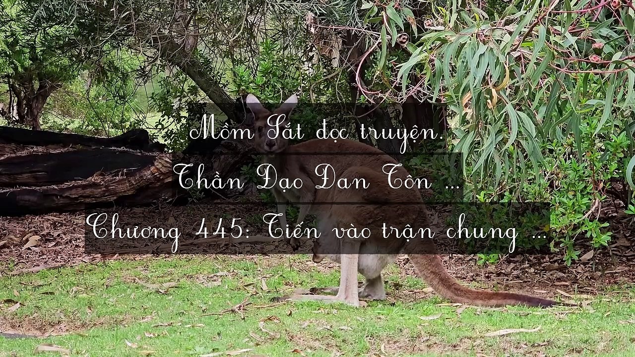 Chương 441-450: Thần Đạo Đan Tôn