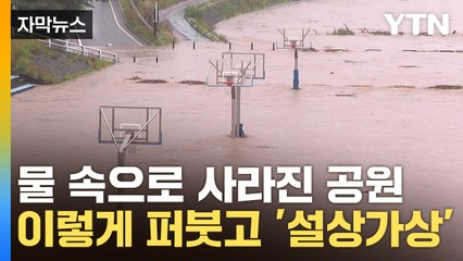 [자막뉴스] 주차된 차들 '아찔'…물폭탄에 침수되고 나무 와르르 / YTN