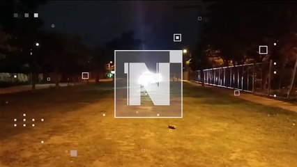 Un incendió de magnitud se produjo en la Laguna Guapilo