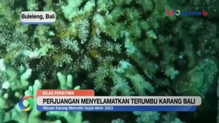 Perjuangan Menyelamatkan Terumbu Karang Bali