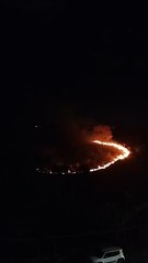 BH: Incêndio de grandes proporções atinge mata próximo à Arena MRV