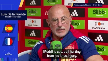 Kroos' tackle on Pedri has hurt Spain - De la Fuente