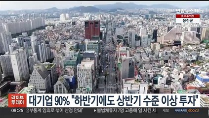 대기업 90% "하반기에도 상반기 수준 이상 투자"