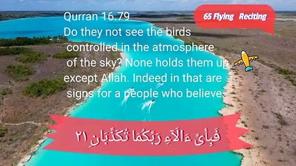 "Discover the 65 Airborne Wonders: Embracing the Loving Reality of Nature!"