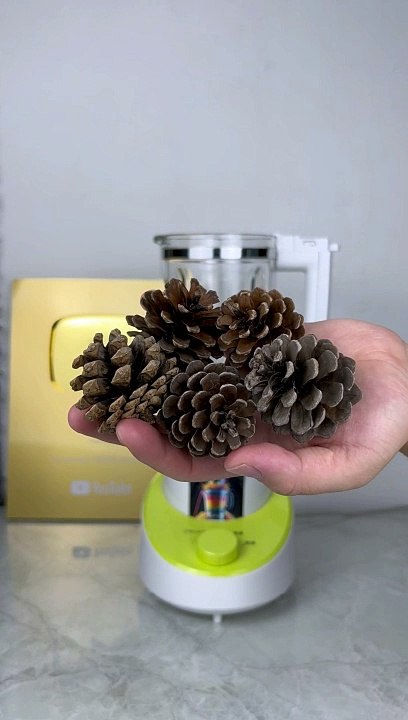 Blending Pine Cones in a Blender | SEM Blender Gallery