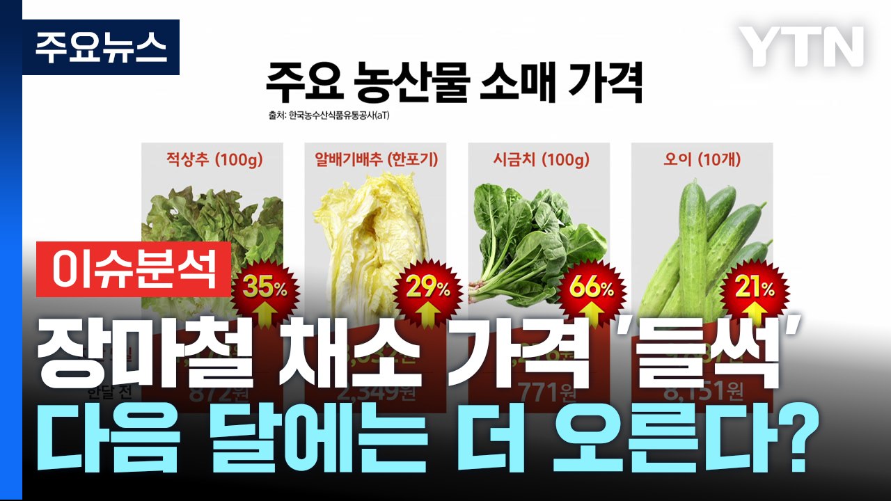 [뉴스퀘어10] 장마철 채소 가격 들썩...다음 달에는 더 오른다? / YTN