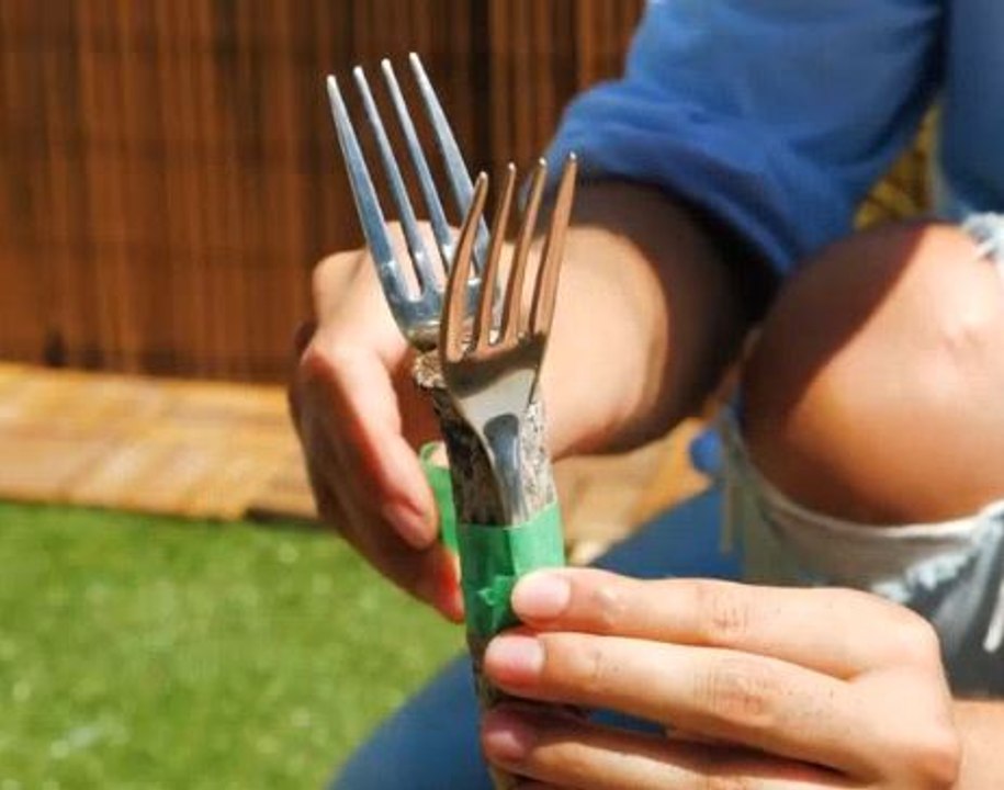 Beat the summer heat with these hacks for a thriving garden!