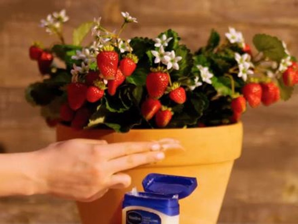 Gardening hacks that will blow your weeds!