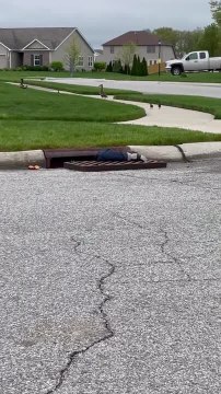 Man Saves Flock of Ducklings From Sewer Drain