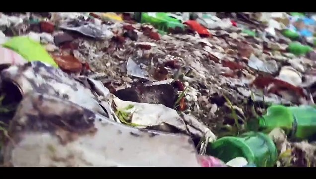 Reporte Climático 153 | Hagamos composta contra el cambio climático