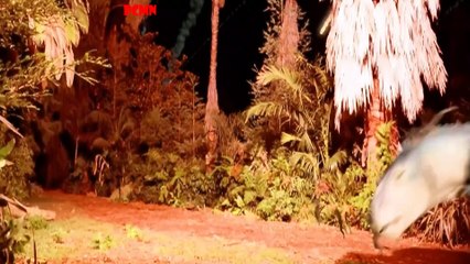 Cuộc phiêu lưu của chú khủng long nghịch ngợm - Review phim cho trẻ em - PHIM CHO MỌI NHÀ