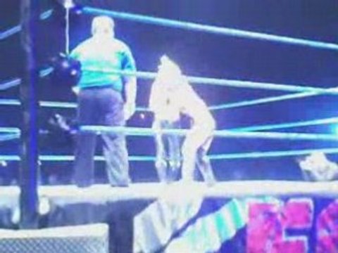 WWE Smackdown au Zenith de Strasbourg (McCool & Victoria)