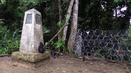 파나마, 남부 국경에 '이민 방지' 철조망 설치 논란 / YTN