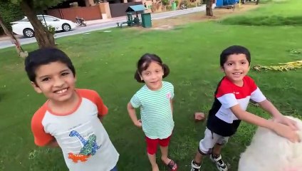 Mama Ne Baby Shippu Ko Pakar Liya  ｜ Bohot Maar Pari