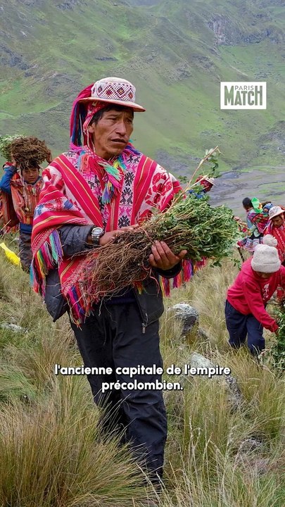 Pérou : contre la déforestation, les arbres montent au ciel