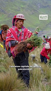 Pérou : contre la déforestation, les arbres montent au ciel