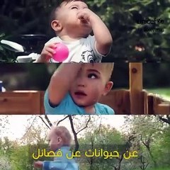 بلقيس فتحي توجه نصيحة للأمهات الجدد