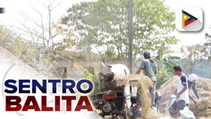 160-K magsasaka, inaasahang makatatanggap ng fuel subsidy mula sa gobyerno ayon sa D.A.