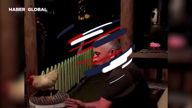 Tavuk diye aldığı civcivleri horoz çıkan vatandaş yaptığıyla herkesi şaşkınlığa uğrattı: Sabaha kadar birlikte...