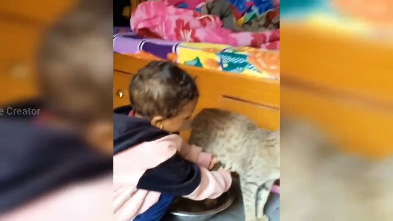 Funny video