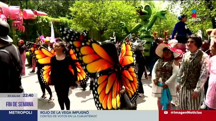 Cinco pingüinos Humboldt llegan al Zoológico de Chapultepec