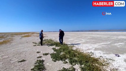 Kuş cenneti Arin Gölü'nde kuraklık tehlikesi