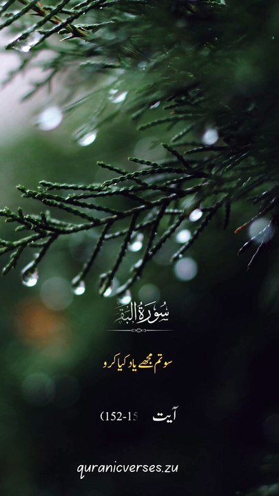 Quranic verse
