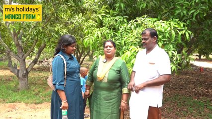 Feedback from Here Clients: Take a Look at Our Mango Farmland