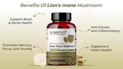 Lion's Mane mushroom Extract Capsules, 10_1 strength, 20% Polysaccharides