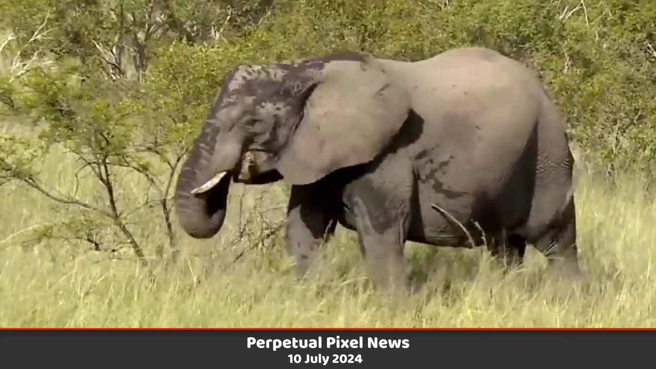 PPN World News Headlines - 10 Jul 2024
