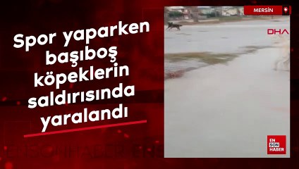 Mersin'de spor yaparken başıboş köpeklerin saldırısında yaralandı