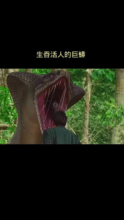 new Latest movie 2024