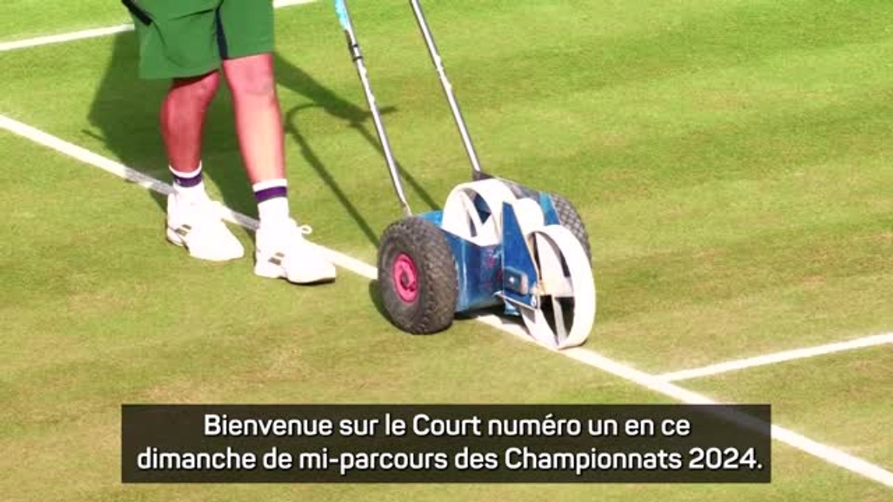 Wimbledon - Sun surprendre Raducanu, Sinner et Alcaraz qualifés