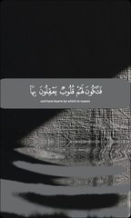 أَفَلَمْ يَسِيرُوا فِي الْأَرْضِ فَتَكُونَ لَهُمْ قُلُوبٌ يَعْقِلُونَ بِهَا