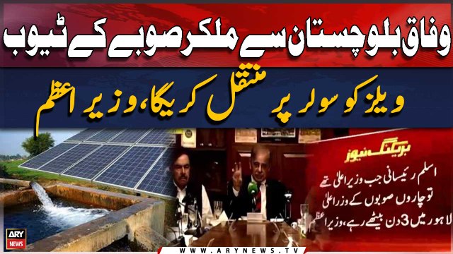 Wafaq Balochistan Se Mil Kar Soobay Ke Tube wells ko solar par muntaqil karega, PM Shehbaz