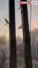 Konsere çıkmadığı için Belediye Başkanı tarafından hedef gösterilen Merve Özbey cephesinden açıklama