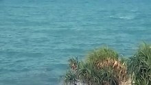Eksotis beach
