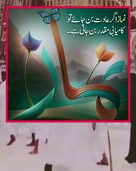 یا اللہ جو  بیمار ہیں ان کو صحتیابی عطا فرما اور جو اہل ایمان  وفات پا چکے ہیں ان کی مغفرت فرما کر جنت الفردس میں اعلی مقام عطا فرما۔ اور تمام مسلمانوں کو دنیا اور آخرت کی ھر بھلائی عطا فرماآمین یارب العالمین  ❤❤️❤️❤️❤️