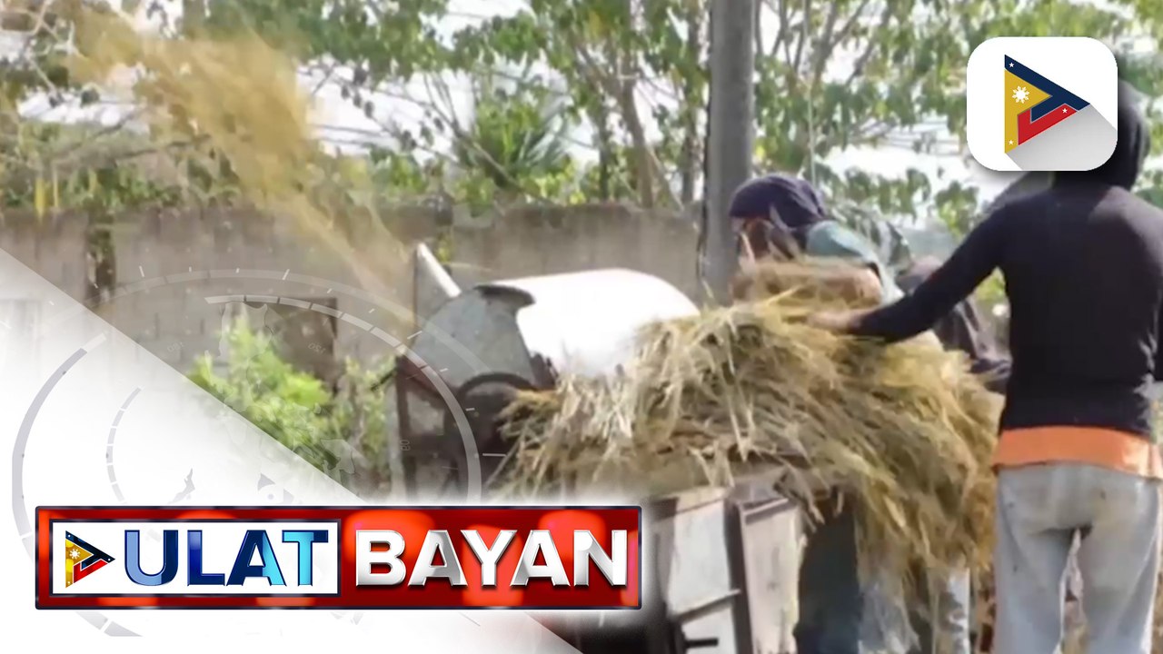 Pamahalaan, inilatag ang iba’t ibang suporta para sa sektor ng agrikultura