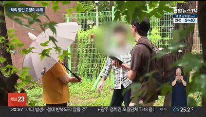 아파트서 '허리 절단' 고양이 사체…한 달 새 5마리 사망